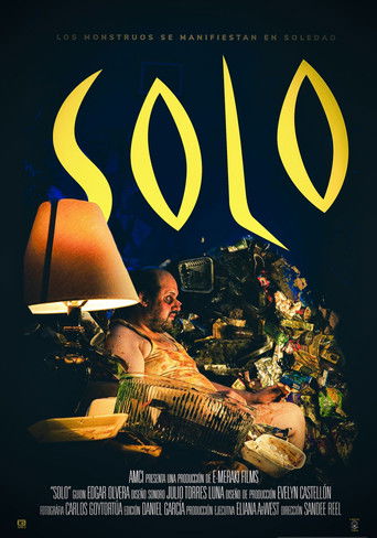 Solo poster