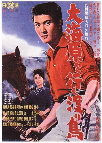 Movie poster for Rambling in the Sea (1961)