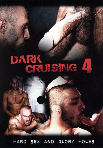Movie poster for Dark Cruising 4 (2012)