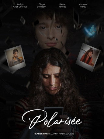 Movie poster for Polarized