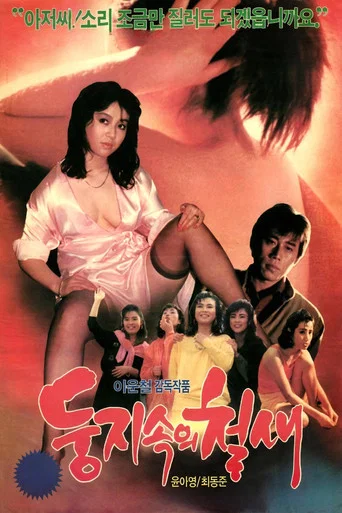Movie poster for A Migrant Bird in a Nest (1988)
