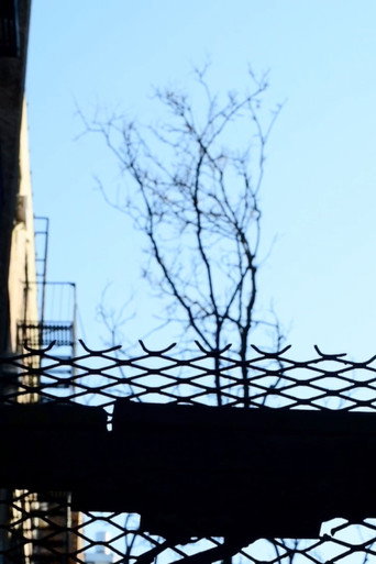 Movie poster for Journals 8: Alley on West 180th Street (2025)