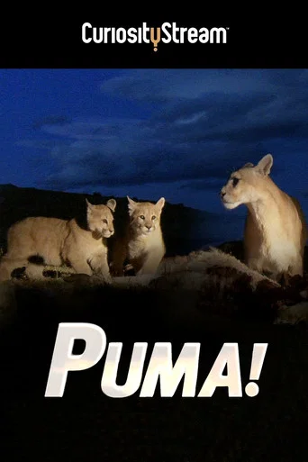 Movie poster for Puma! (2015)
