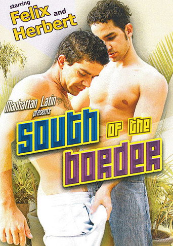 Movie poster for South Of The Border (2010)