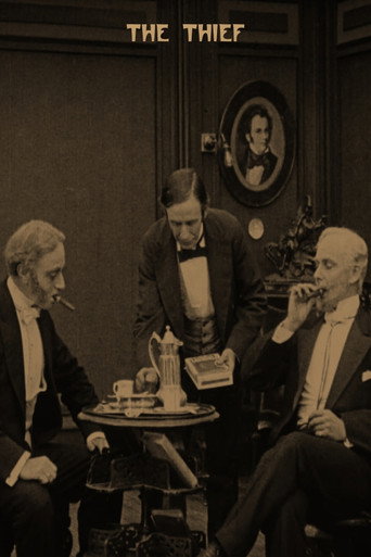 Movie poster for The Thief (1913)
