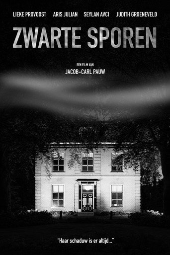 Movie poster for Zwarte Sporen (2024)