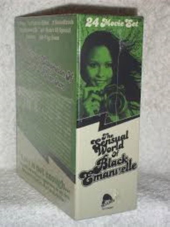 Ajita Wilson: An Elusive Icon poster