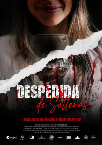 Despedida de solteras poster
