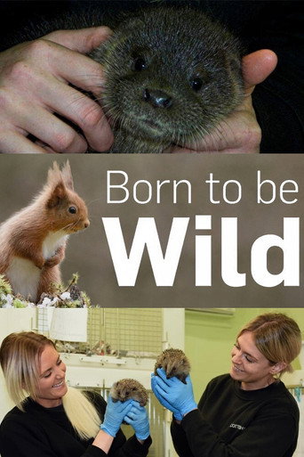 Series poster for Born to Be Wild (2019)