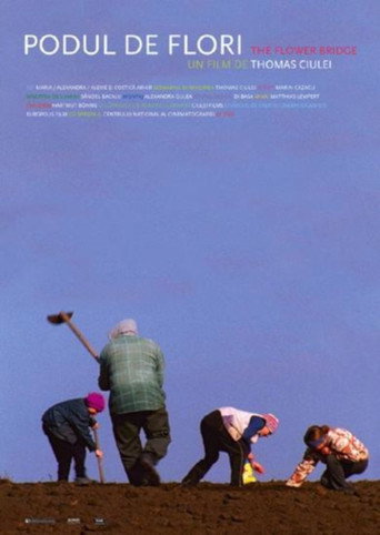 Movie poster for The Flower Bridge (2008)