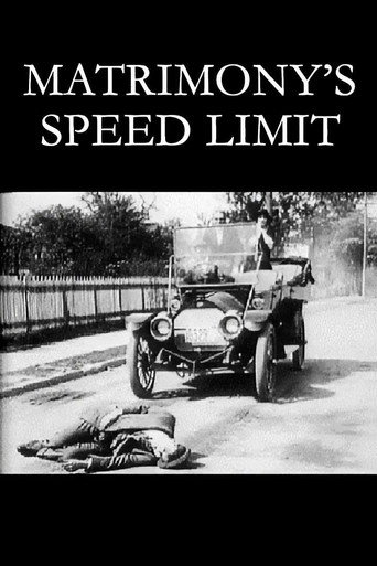 Movie poster for Matrimony's Speed Limit (1913)