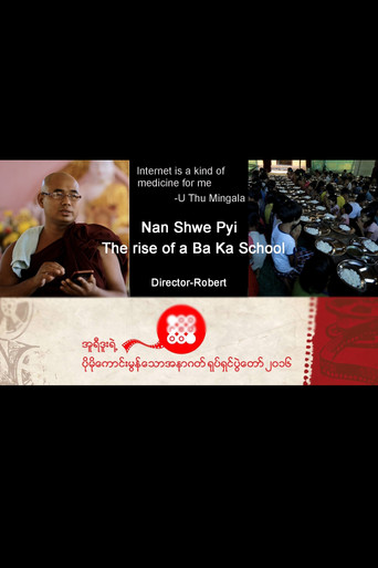 Movie poster for Nan Shwe Pyi (2016)