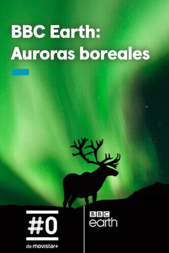 Movie poster for Gordon's Northern Lights Adventure (2017)
