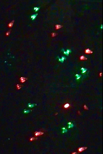 Movie poster for Christmas Elegy for a Summer Day (2025)