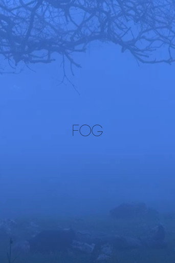 Movie poster for Fog (2024)