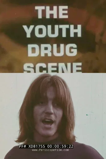 Movie poster for The Youth Drug Scene (1970)