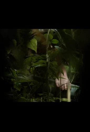 Movie poster for In A Grove (2025)