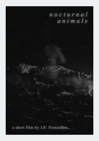 Movie poster for Nocturnal Animals (2025)