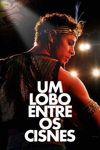 A Wolf Among the Swans poster