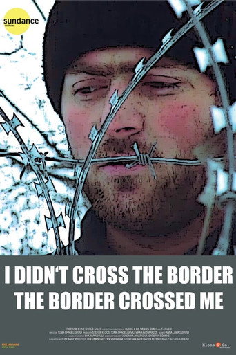 Movie poster for I Didn't Cross the Border: The Border Crossed Me (2016)