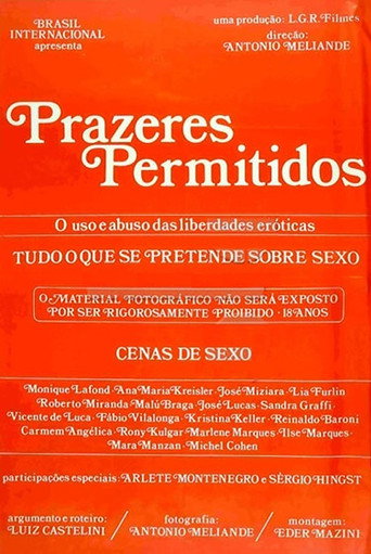 Prazeres Permitidos poster