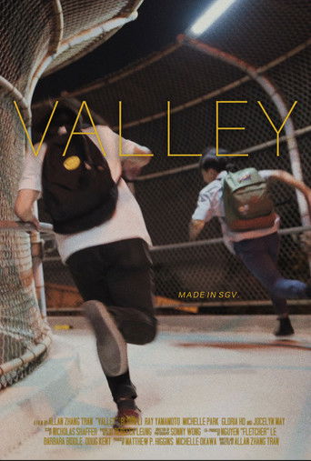 Valley poster