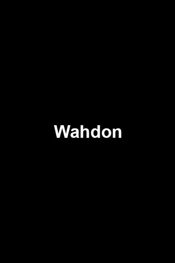 Movie poster for Wahdon (2014)
