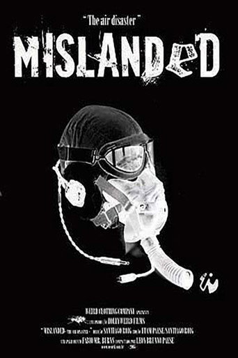 Movie poster for Mislanded: The Air Disaster (2006)