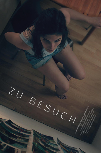 Movie poster for Visiting (2016)