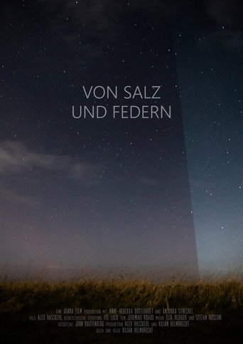 Salt and Feathers poster