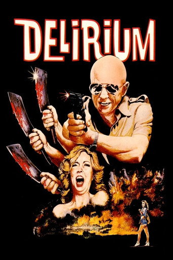 Movie poster for Delirium (1979)