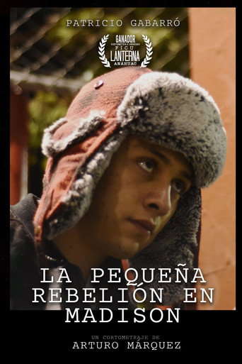 Movie poster for Slight Rebellion Off Madison (2018)