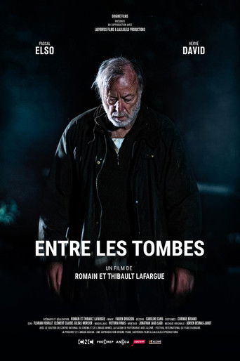 Entre les tombes poster