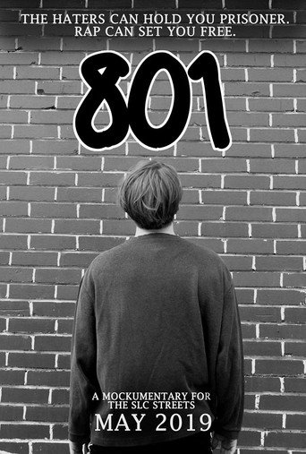 Movie poster for 801 (2019)
