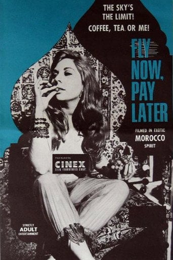 Movie poster for Fly Now, Pay Later (1969)