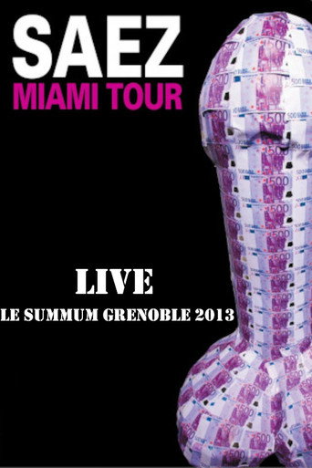 Movie poster for Damien Saez en live au Summum 2013 (2013)