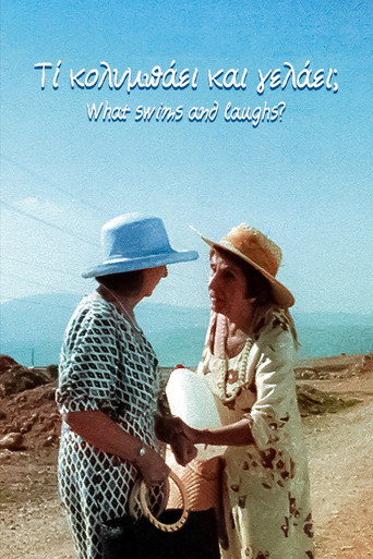 What swims and laughs? poster