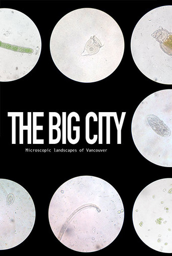 Movie poster for The Big City (2017)