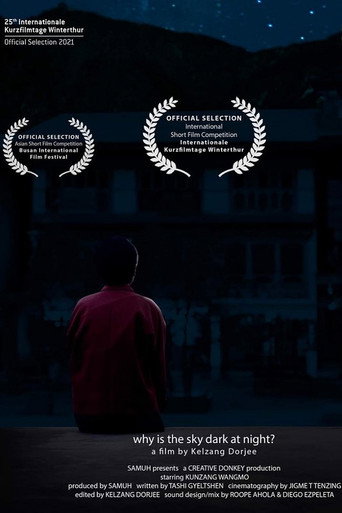Movie poster for Why is the sky dark at night? (2021)