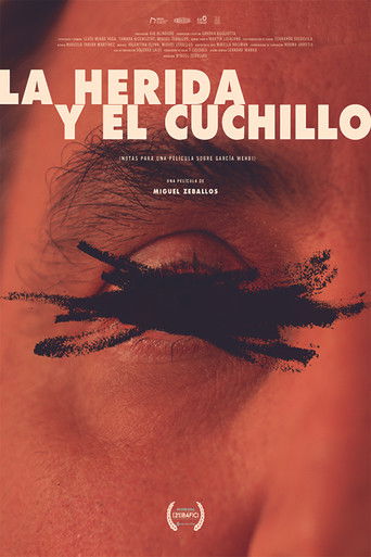 The Wound and the Knife (Notes for a Film About García Wehbi) poster