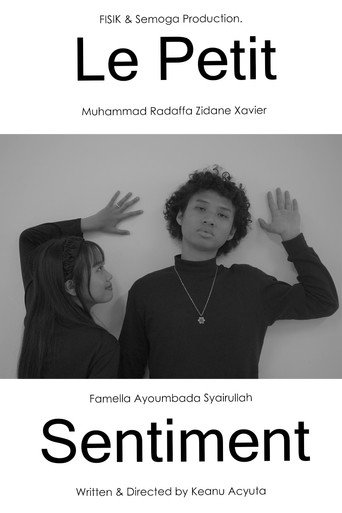 Movie poster for Le Petit Sentiment (2024)