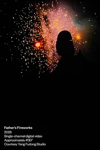 Movie poster for Father's Fireworks (2025)