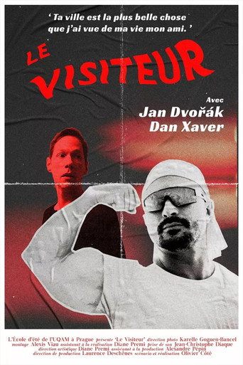 Movie poster for The Visitor (2021)