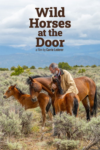 Movie poster for Wild Horses at the Door (2025)