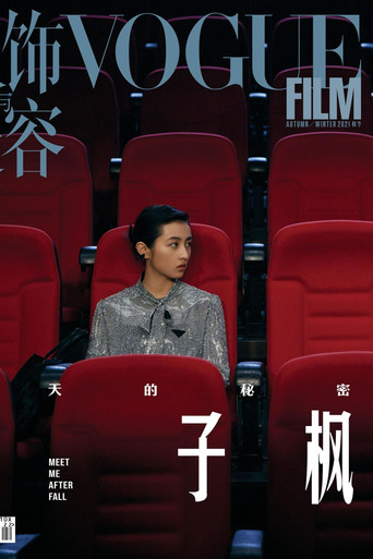 Meet Me After Fall poster