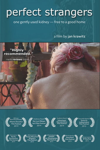 Movie poster for Perfect Strangers (2013)