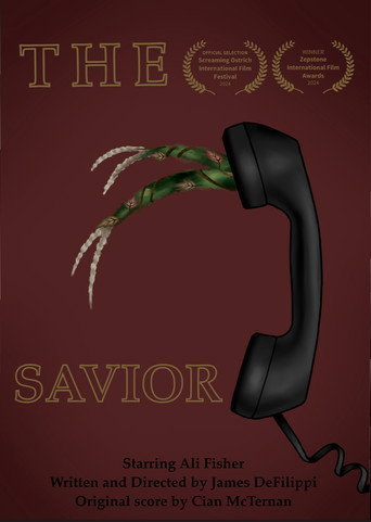 Movie poster for The Savior (2024)