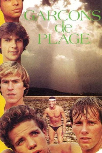 Movie poster for Beach Boys (1982)