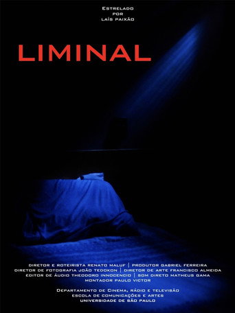 Movie poster for Liminal (2025)