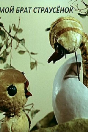 Movie poster for My Brother the Little Ostrich (1971)
